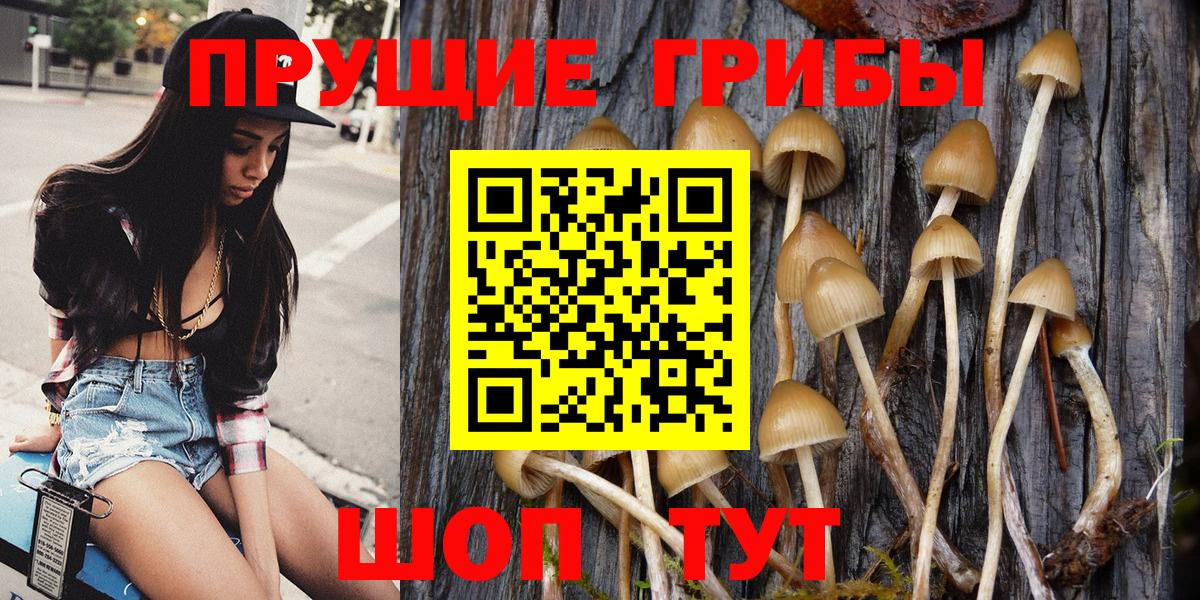Мирный  Галлюциногенные грибы ЛСД  Вход с VPN 